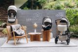 BABY SAFE PRO Lux Collection