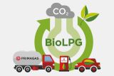 Bio LPG schema